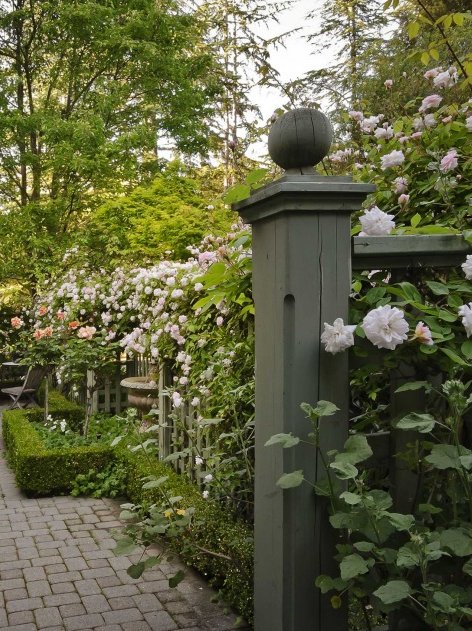 simple rose garden ideas