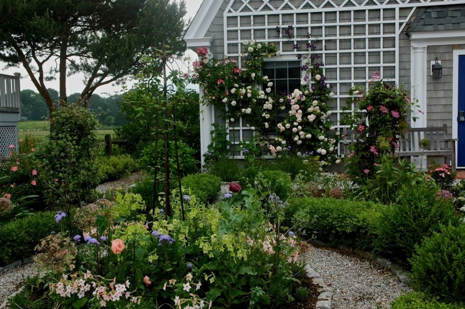 rose garden design ideas pictures