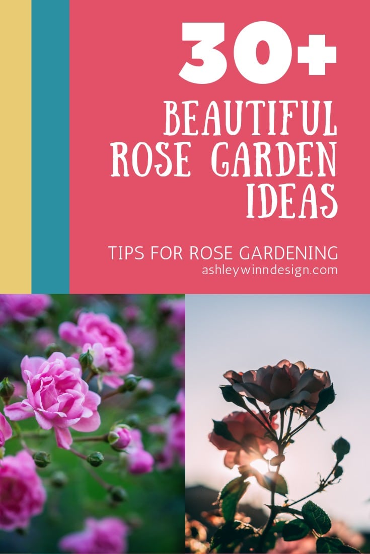 Tips For Gardening