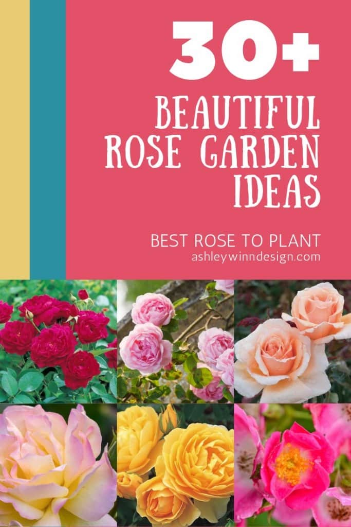 30+ Beautiful Rose Garden Ideas For Your Outdoor Space - Home Decor