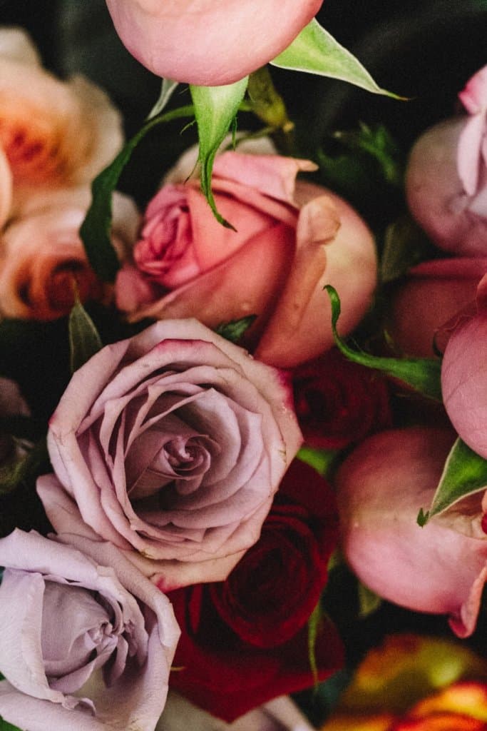 30+ Beautiful Rose Garden Ideas For Your Outdoor Space - Home Decor