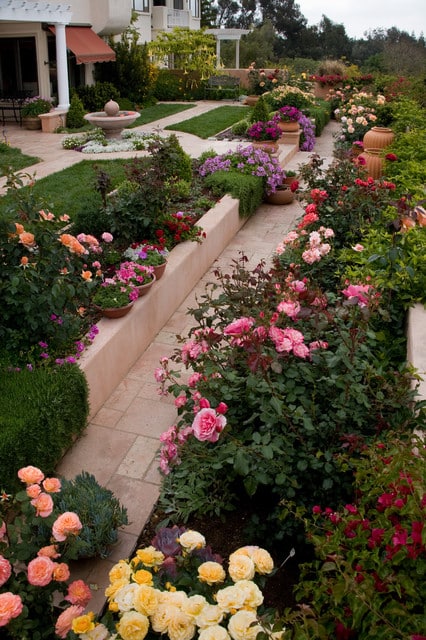 small rose garden ideas