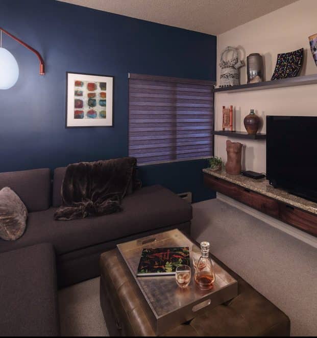 themed home theater