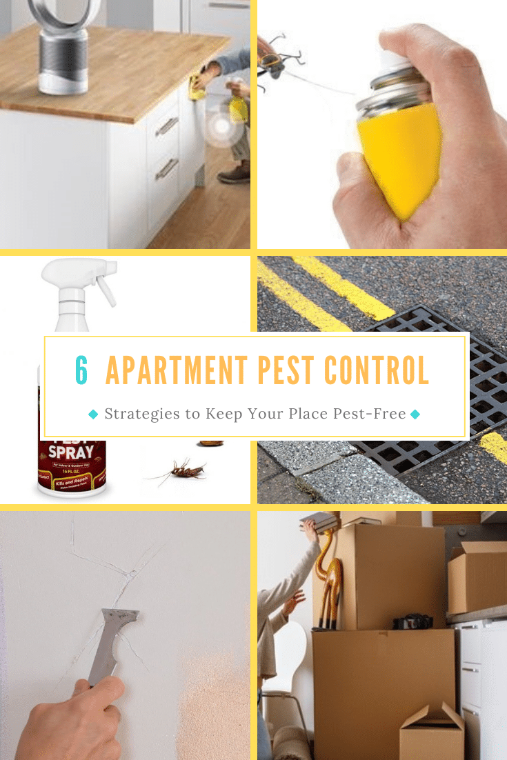6 Apartment Pest Control Strategies to Keep Your Place PestFree