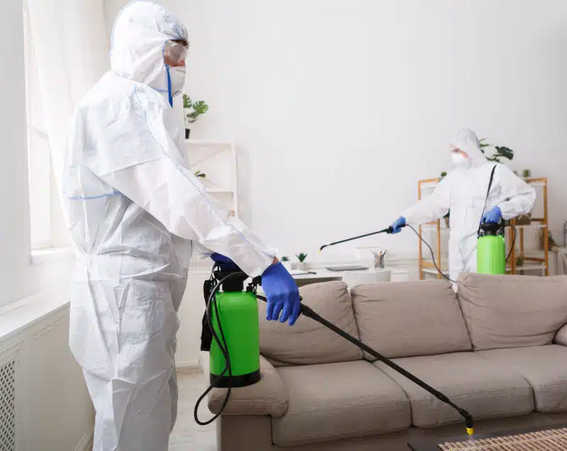how to kill bed bugs in furniture