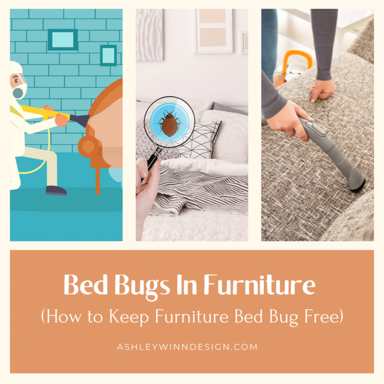 Bed Bugs In Furniture (How to Keep Furniture Bed Bug Free)