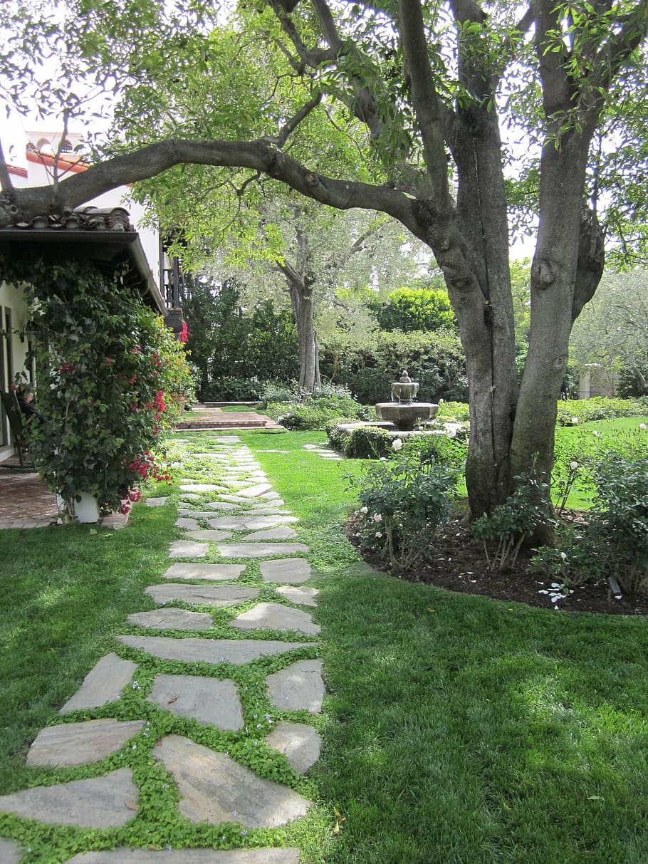 path landscape design