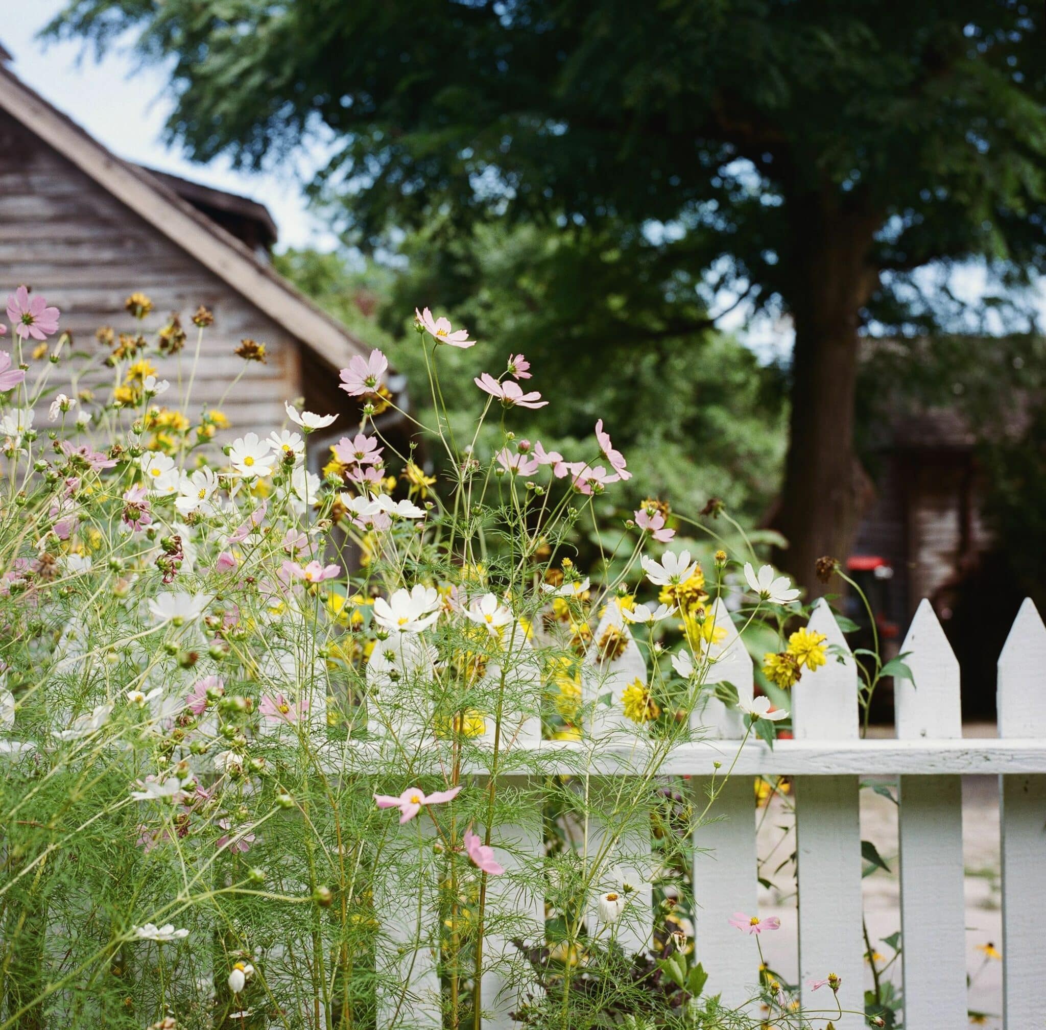 simple garden fence ideas