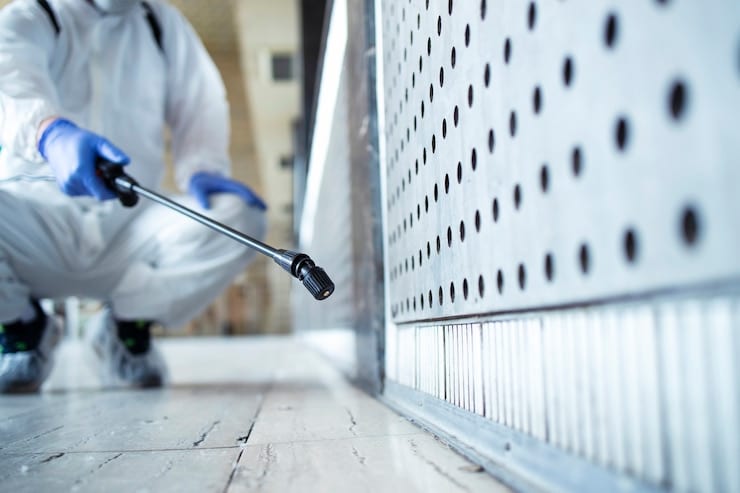 diy crawl space cleaning