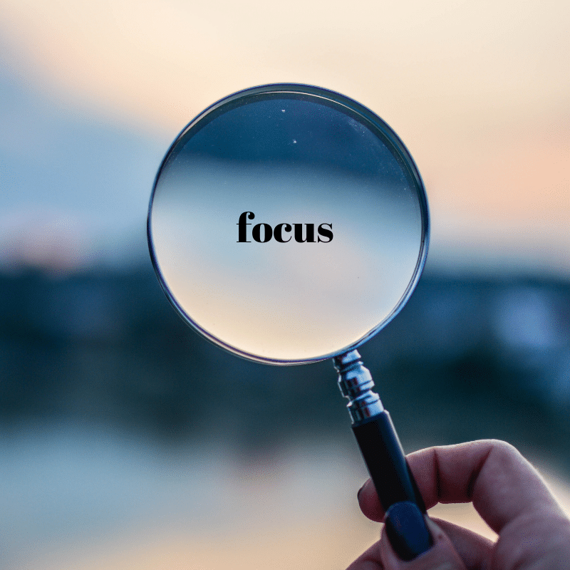 focus on one niche at first