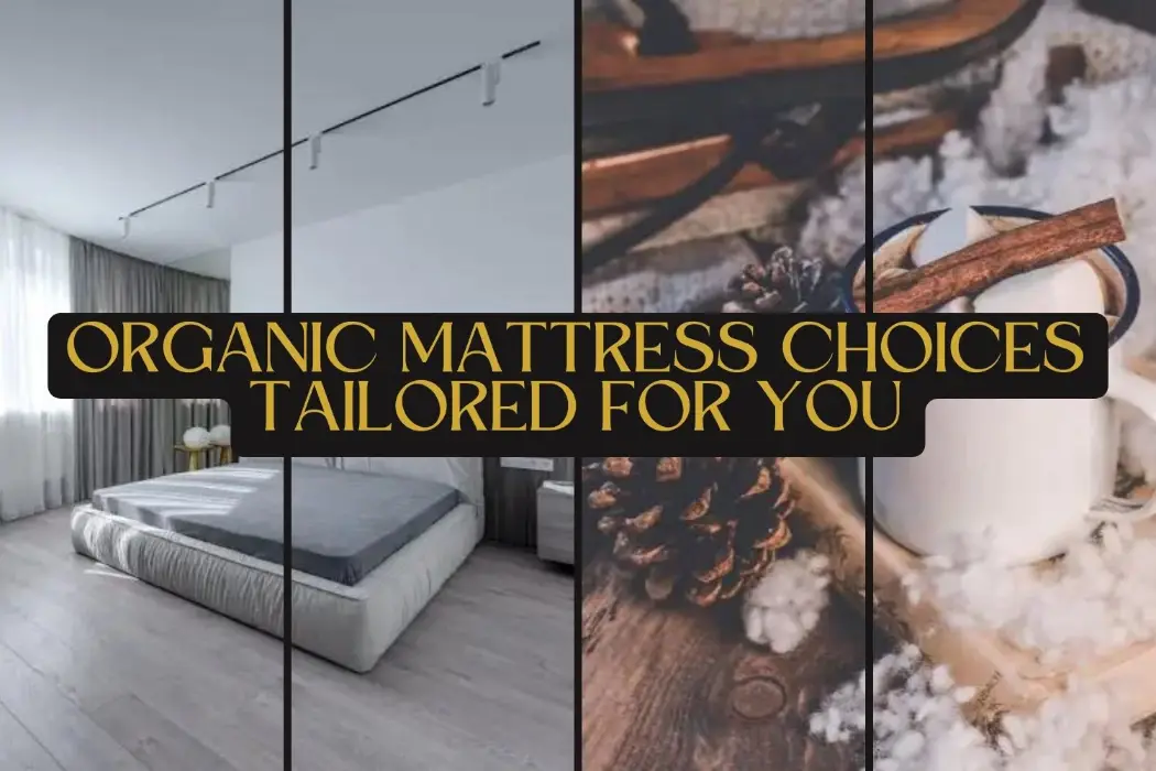 Green Sleep Oasis Organic Mattress Choices Tailored for You In 2023