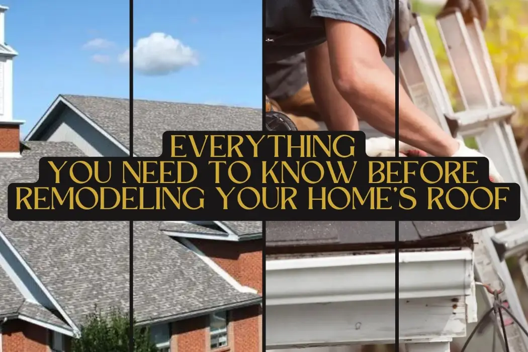 The Roofing Contractors' Guide: Everything You Need to Know Before ...