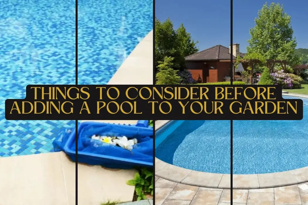 7 Things to Consider Before Adding a Pool to Your Garden