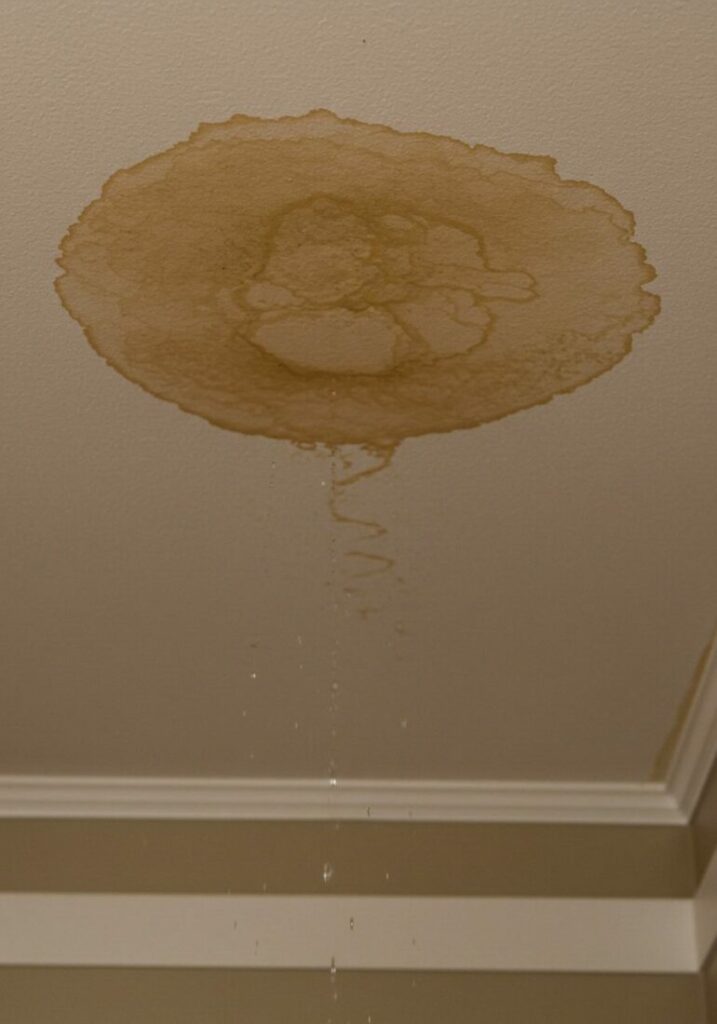 Signs You Need a New Roof